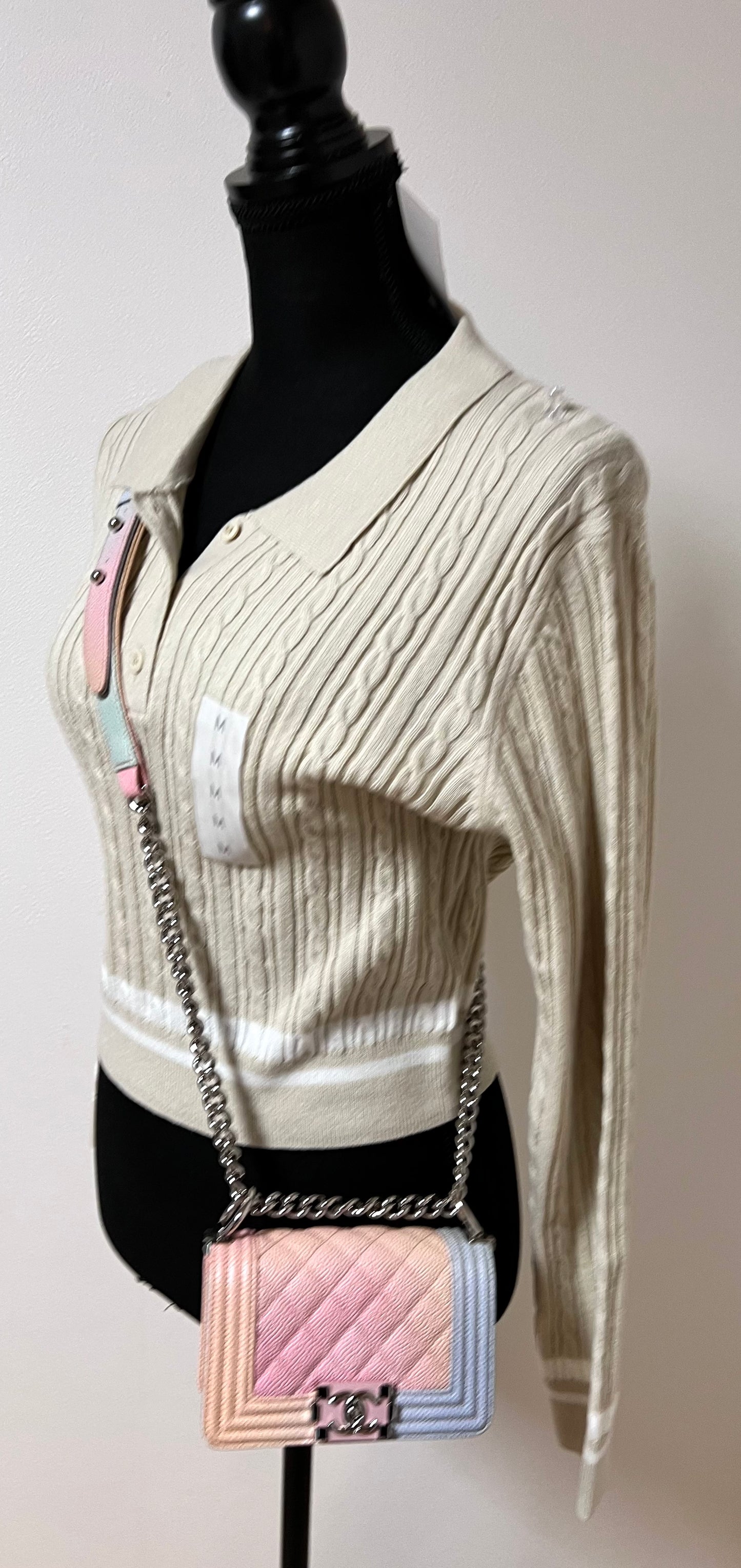 Chanel Leboy mini Rainbow Caviar Skin Flap chain Bag