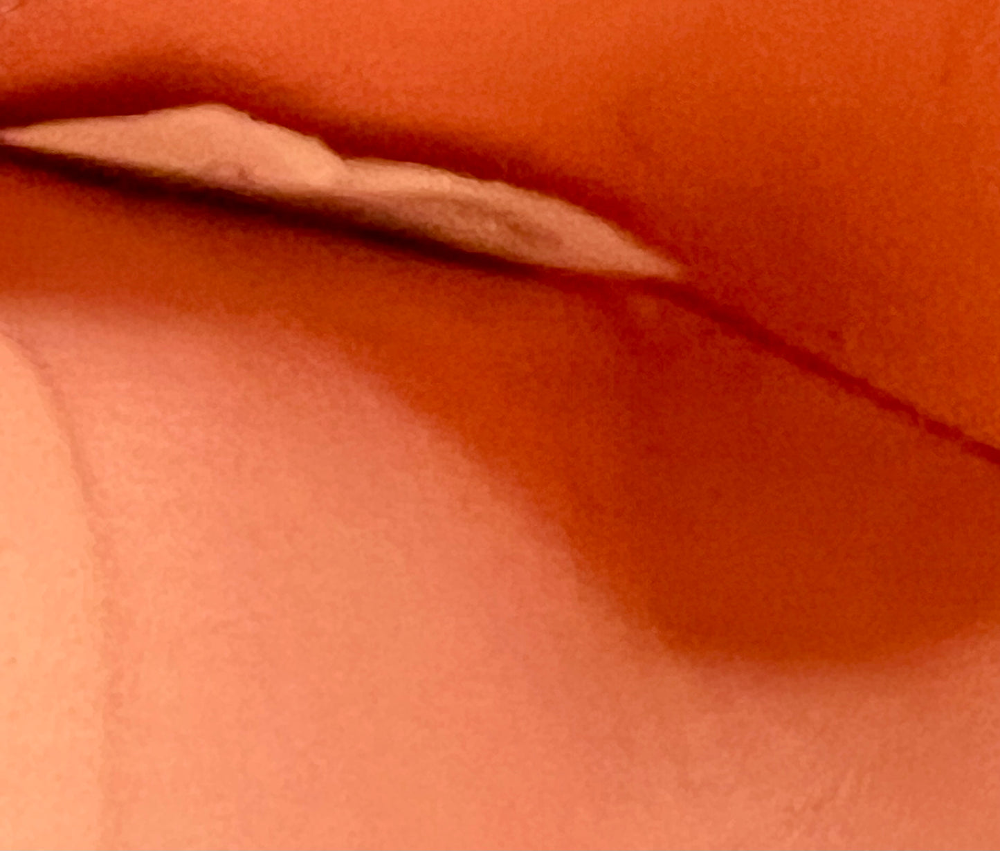 Bottega Venetta Compact Wallet (🇵🇭P8,699)