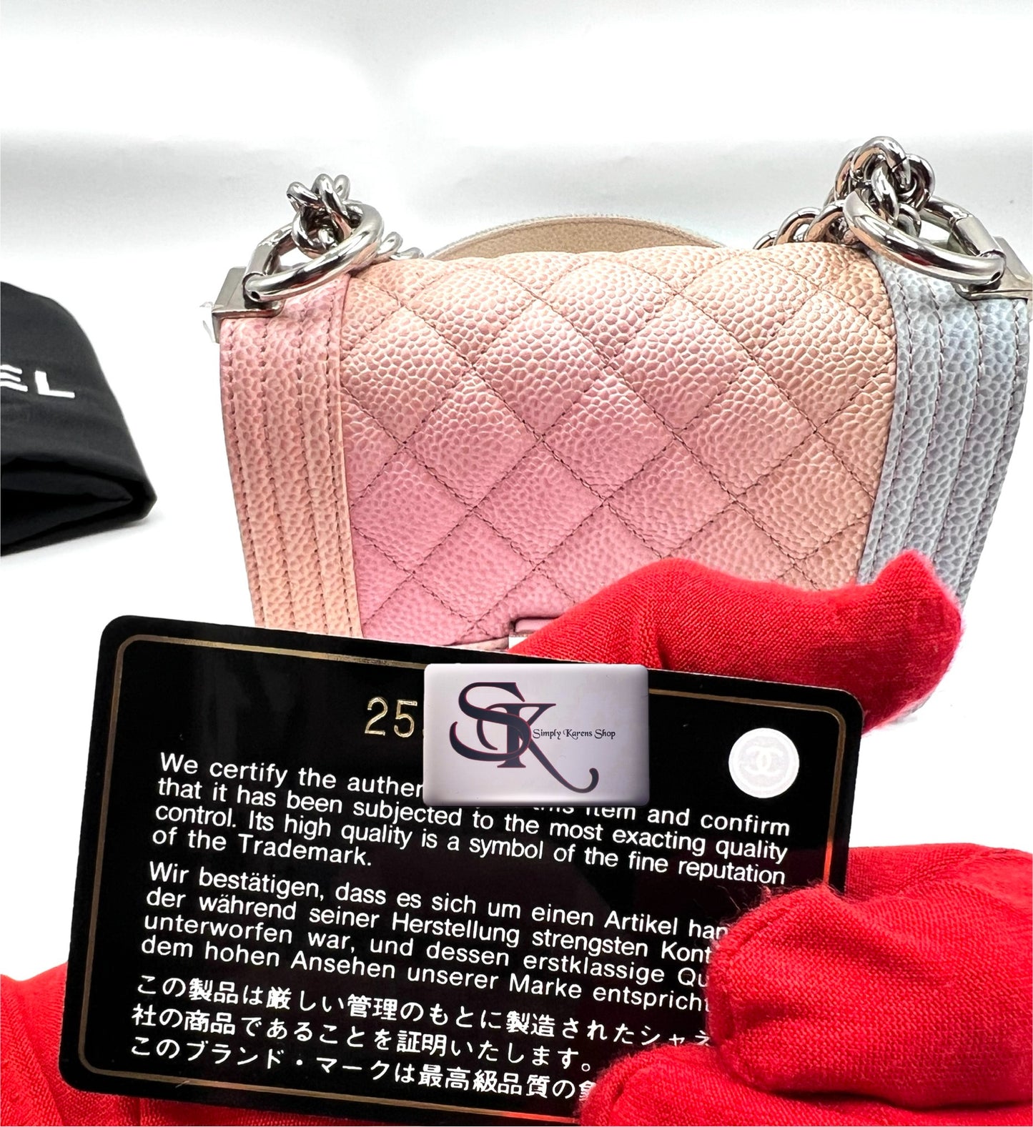 Chanel Leboy mini Rainbow Caviar Skin Flap chain Bag