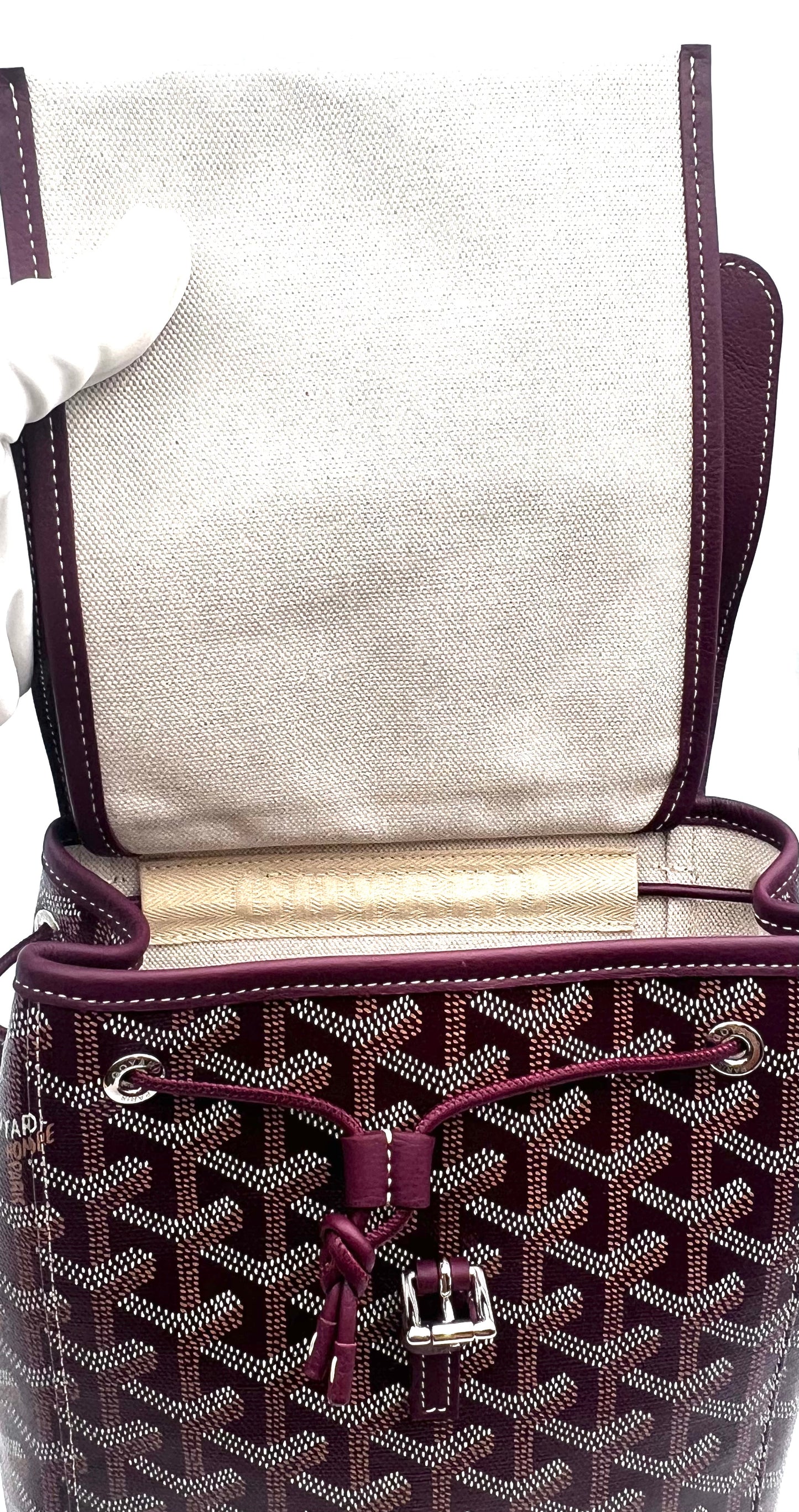 Goyard Alpin Mini Burgundy Back Pack (🇵🇭P206,400)