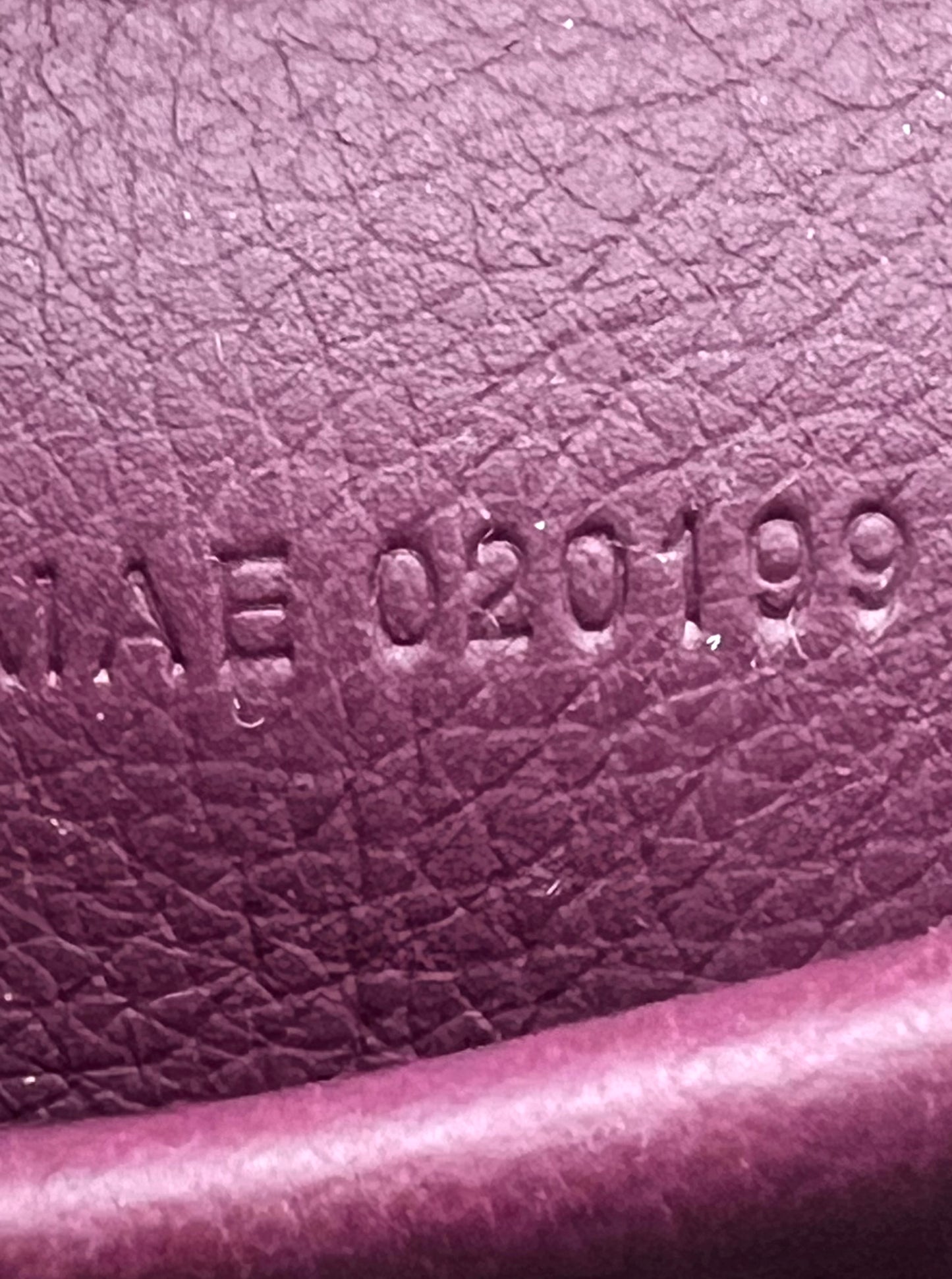Goyard Alpin Mini Burgundy Back Pack (🇵🇭P206,400)