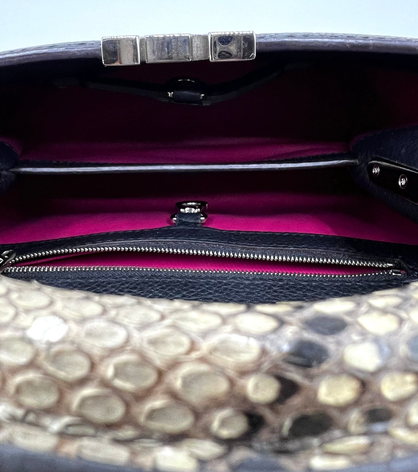 Louis Vuitton Taurillon Cappucine BB Python Handle       (🇵🇭P197,800)