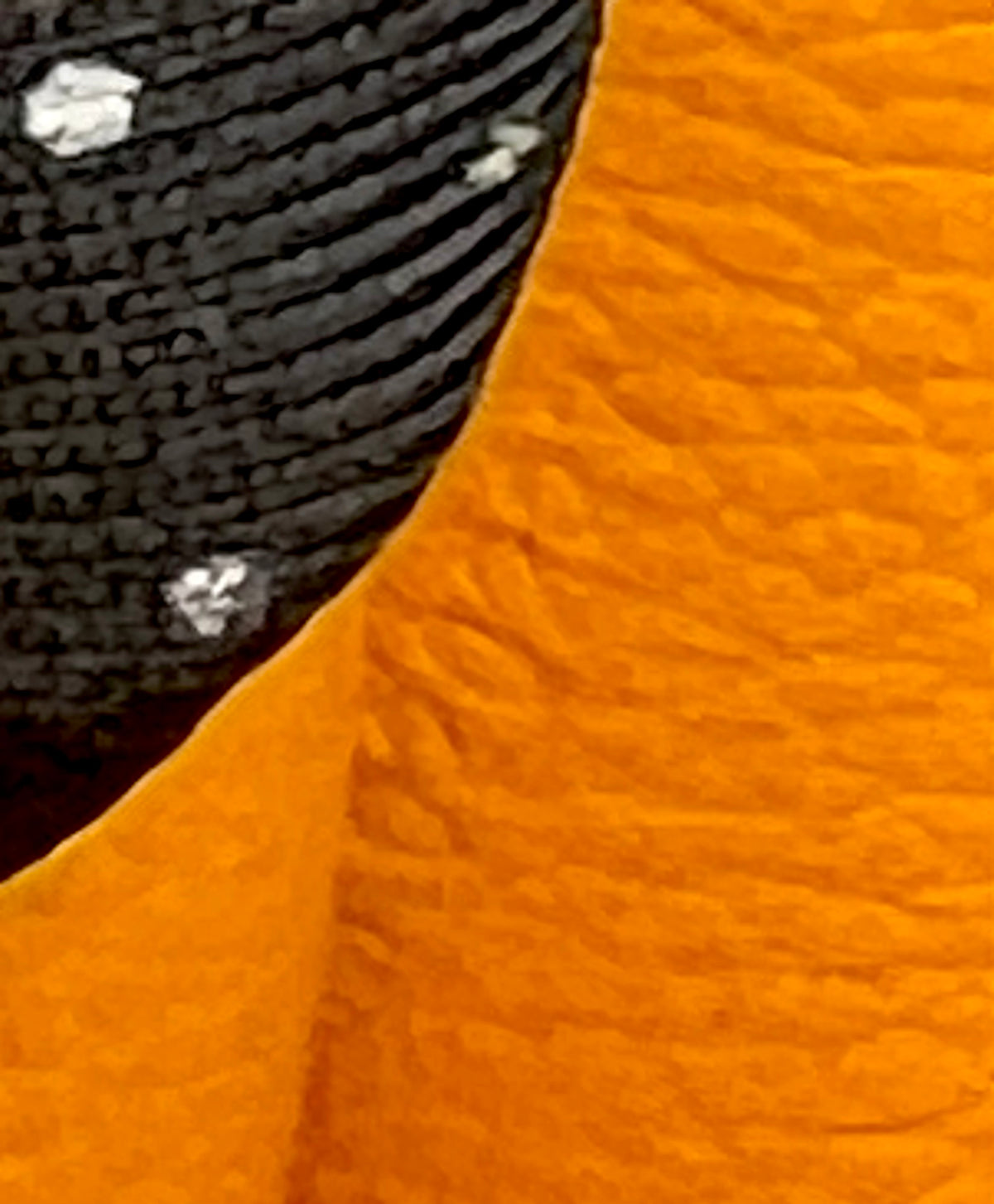 Goyard Mini Saigon Gray 2 way Bag w/ Box & Dust Bag           (🇵🇭P198,000)