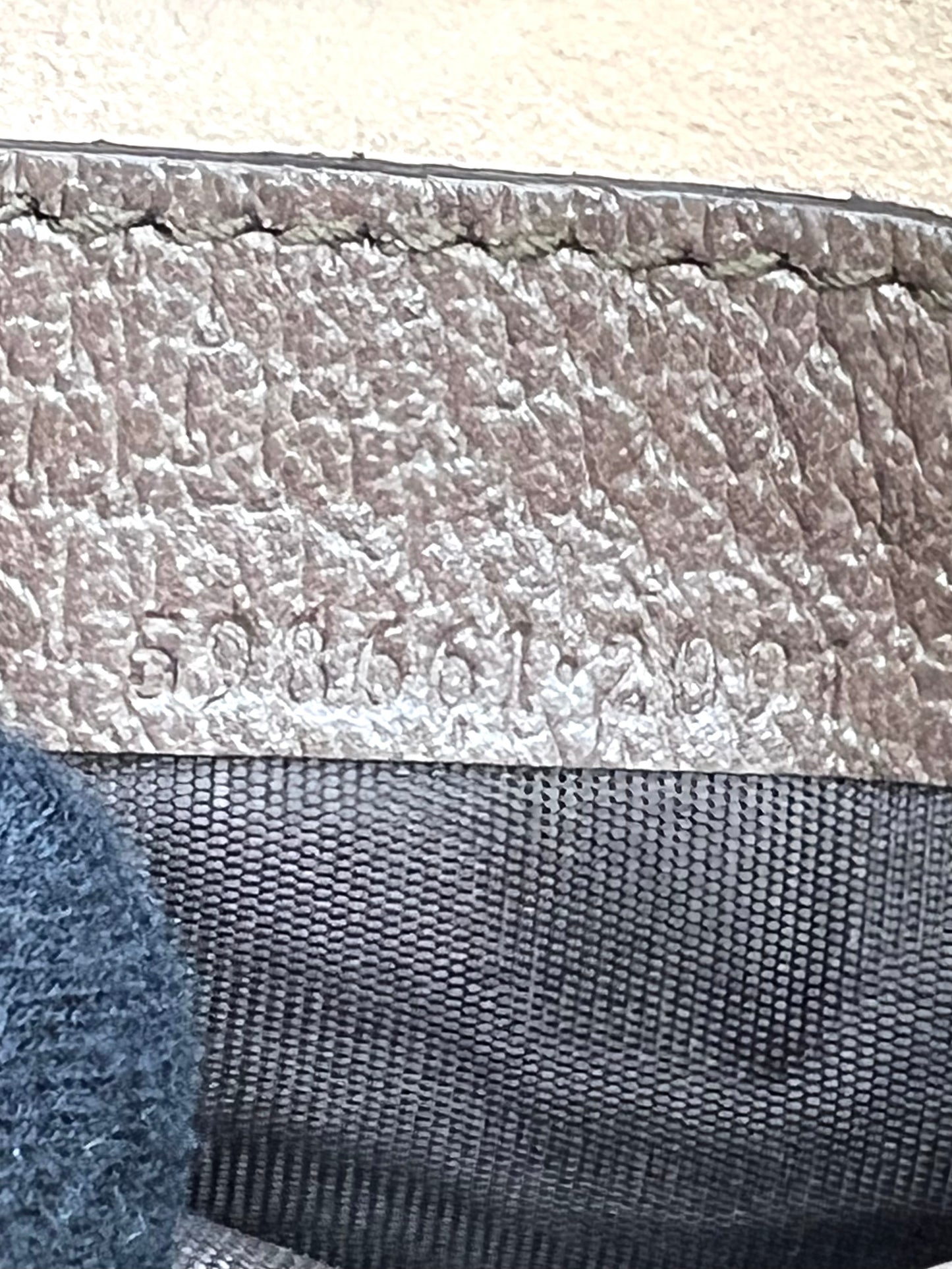 Gucci Ophedia Supreme Mini Back pack (🇵🇭P42,140)
