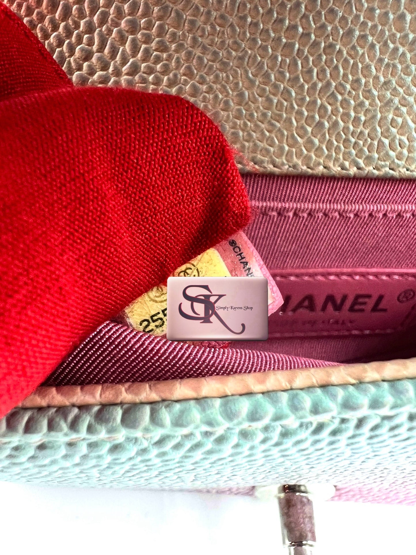 Chanel Leboy mini Rainbow Caviar Skin Flap chain Bag