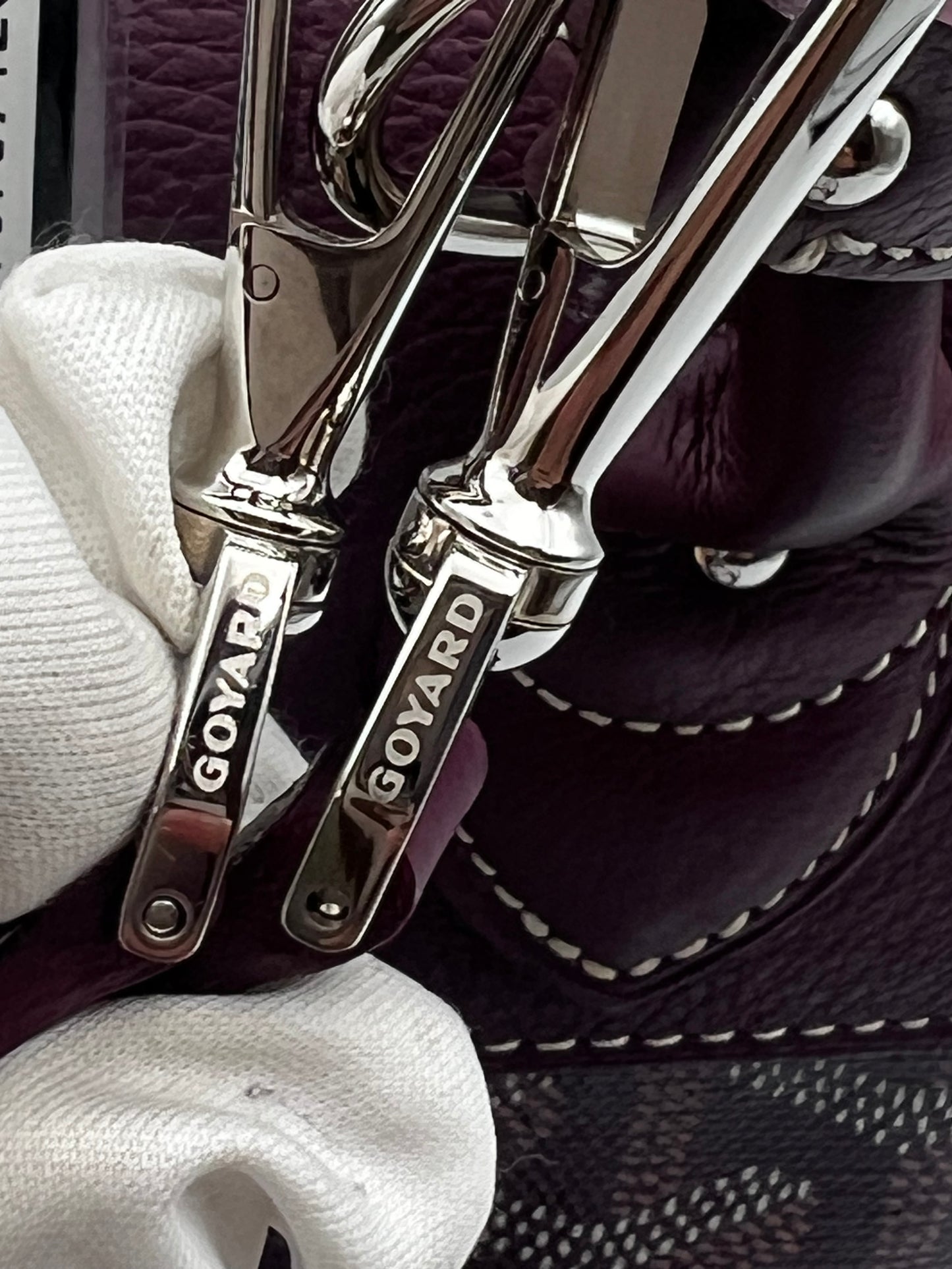 Goyard Alpin Mini Burgundy Back Pack (🇵🇭P206,400)