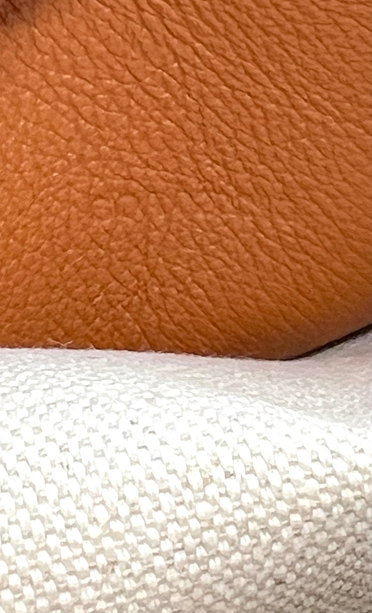 Goyard Bourgogne Tan Vertical Tote (🇵🇭P154,809)